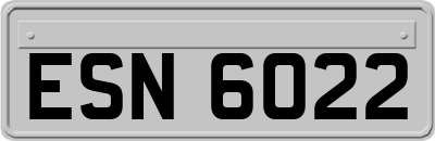 ESN6022