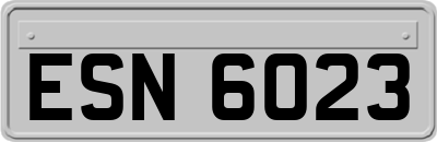 ESN6023