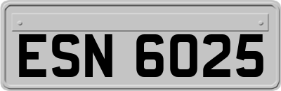 ESN6025