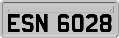 ESN6028