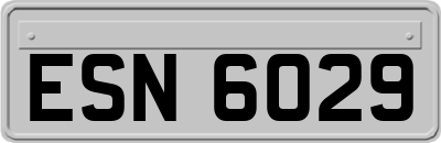 ESN6029