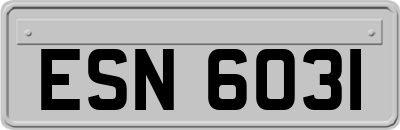 ESN6031