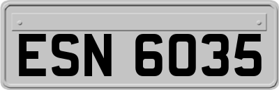 ESN6035