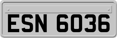 ESN6036