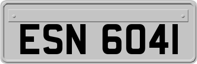 ESN6041