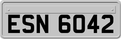 ESN6042
