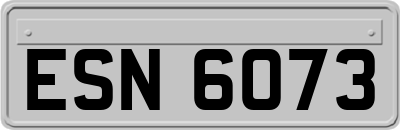 ESN6073