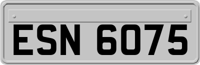 ESN6075