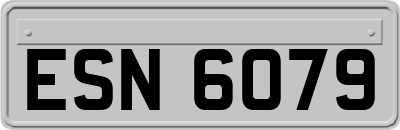 ESN6079