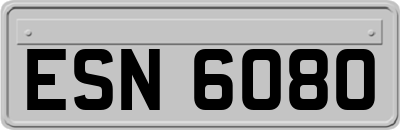 ESN6080