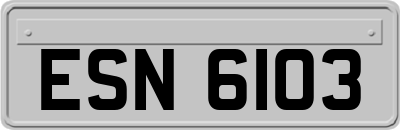 ESN6103