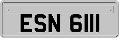 ESN6111