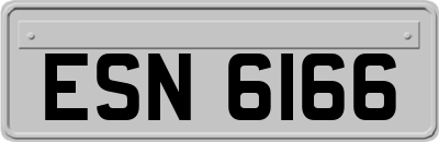ESN6166