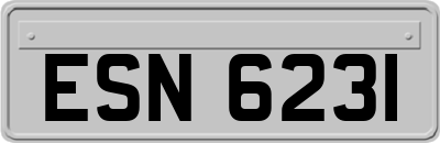 ESN6231