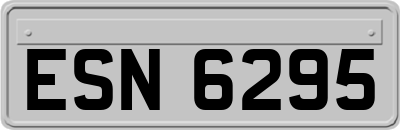 ESN6295