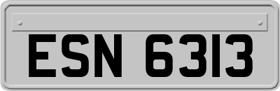 ESN6313