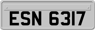 ESN6317