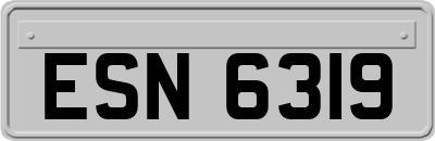 ESN6319
