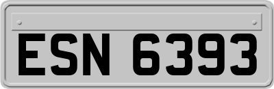 ESN6393