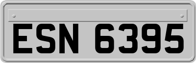 ESN6395