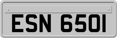 ESN6501