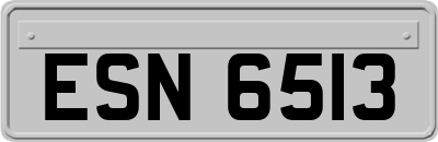 ESN6513