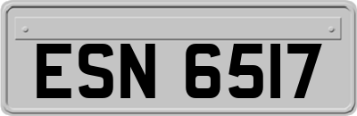 ESN6517