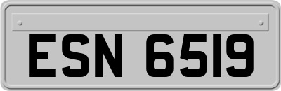 ESN6519
