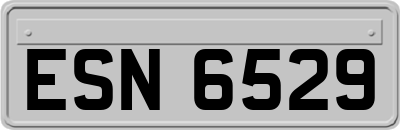 ESN6529