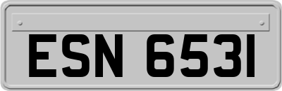 ESN6531