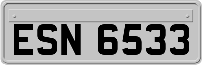 ESN6533