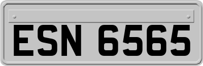 ESN6565