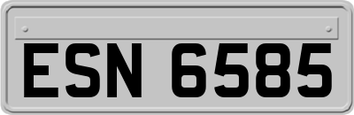 ESN6585