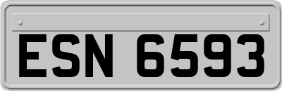 ESN6593