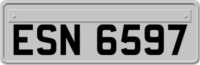 ESN6597