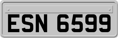 ESN6599