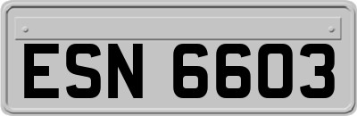ESN6603