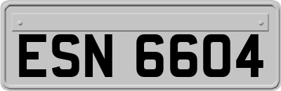 ESN6604