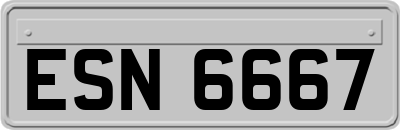 ESN6667