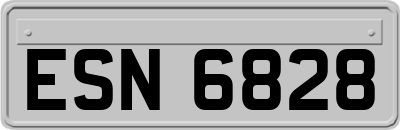 ESN6828