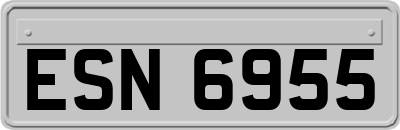 ESN6955