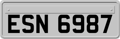 ESN6987
