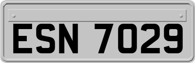 ESN7029