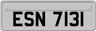 ESN7131