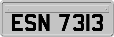 ESN7313