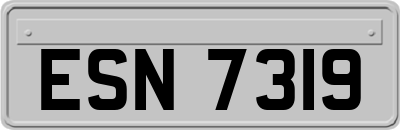 ESN7319