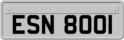 ESN8001
