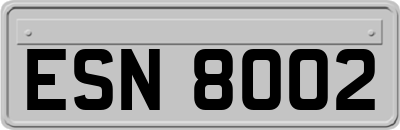 ESN8002
