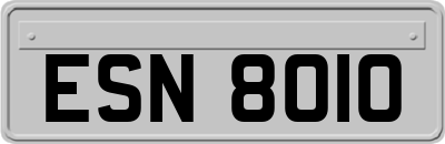 ESN8010