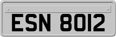 ESN8012